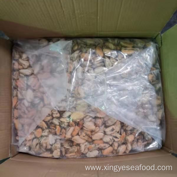 Frozen Boiled Mussel Meat